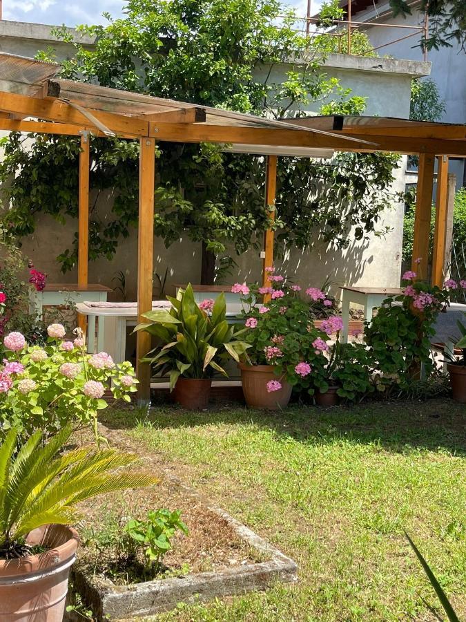 Casa Violetta Bed & Breakfast Marina di Massa Buitenkant foto